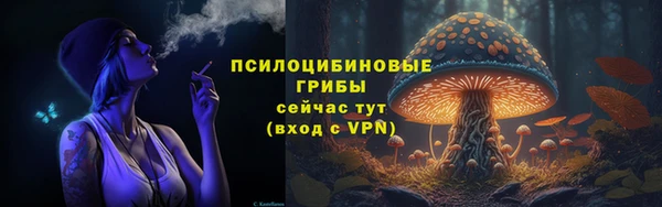 героин Бородино