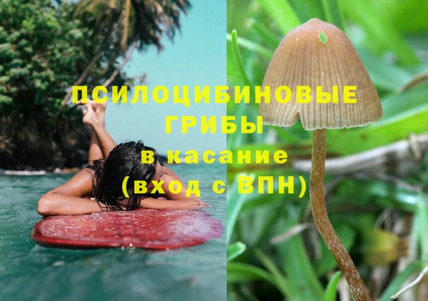 прущие грибы Бугульма