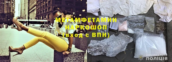 прущие грибы Бугульма