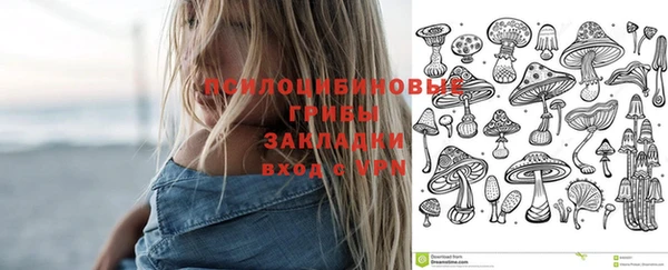 героин Бородино